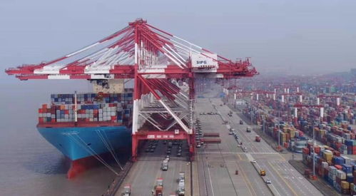 上?？诎痘蛴瓐?bào)復(fù)性出貨潮，貨代兇猛報(bào)關(guān)再現(xiàn)